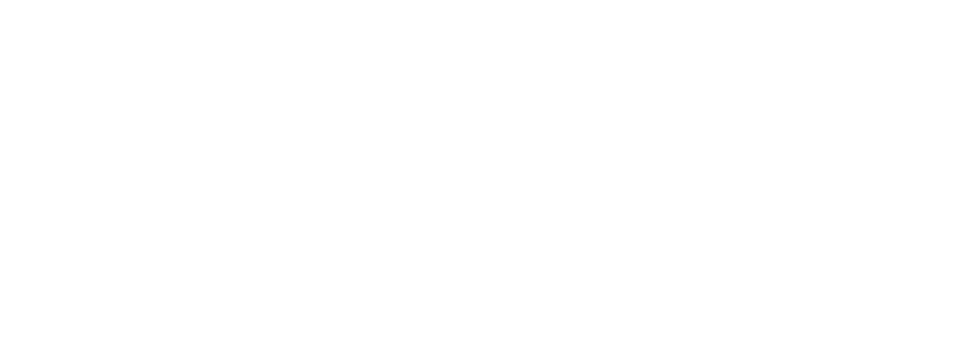 veritas-logo-white.png